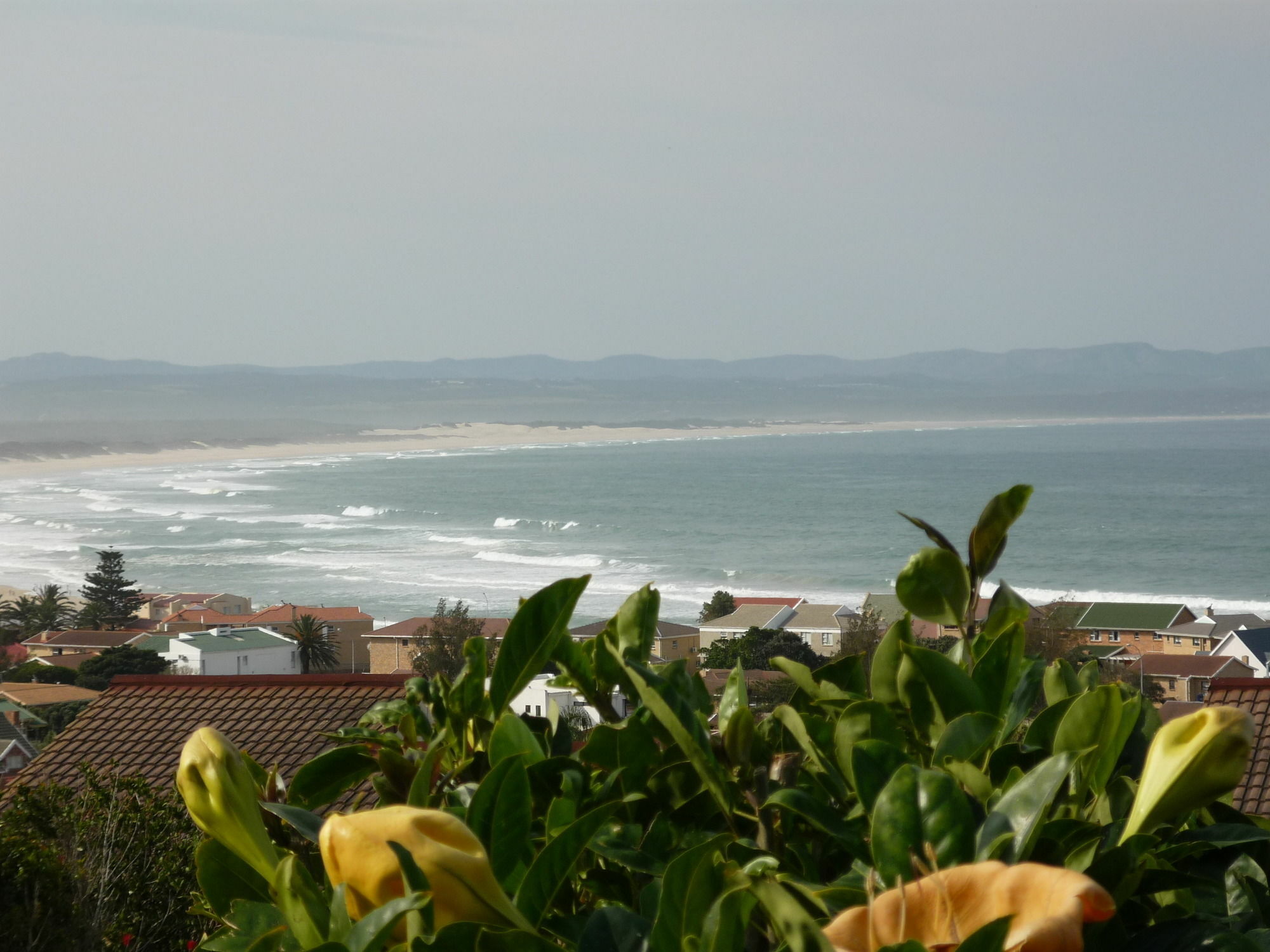 A1 Kynaston Self Catering Or Bed And Breakfast Jeffreys Bay Exterior photo